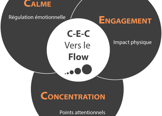 La fixation d’objectifs